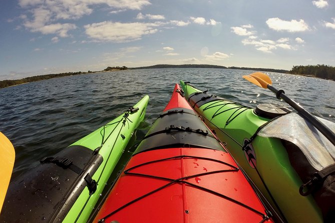 1-Day Small-Group Stockholm Archipelago Kayak Tour - Lunch on a deserted island: campfire cooking, real Swedish flavors