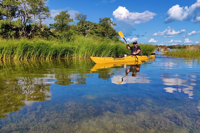 1-Day Small-Group Stockholm Archipelago Kayak Tour - Value check: is $223.82 worth it?