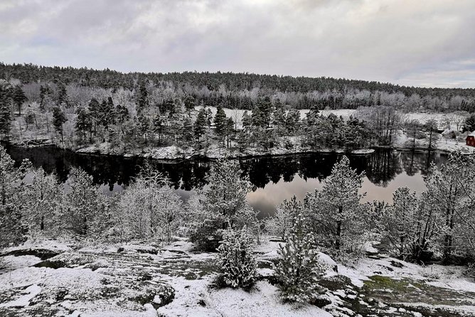 1-Day Small-Group Stockholm Nature Hiking - Why a Stockholm nature hike feels like a smart day plan