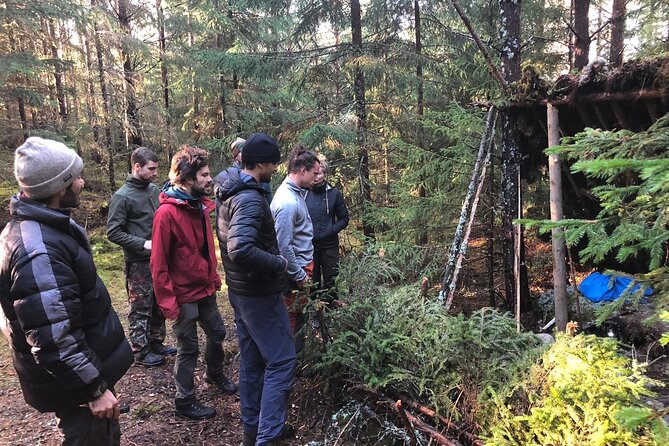 2-Day Small-Group Basic Skills Survival Course in Södermanland - Foraging and plants: edible, toxic, medicinal, and how to cook safely
