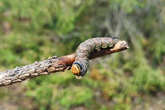 2-Day Small-Group Basic Skills Survival Course in Södermanland - Should you book this basic skills survival weekend in Södermanland?