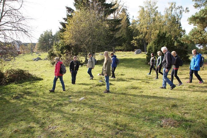 3-4h Viking History Short Day Tour from Stockholm - Timing and pacing: what 3–4 hours really feels like