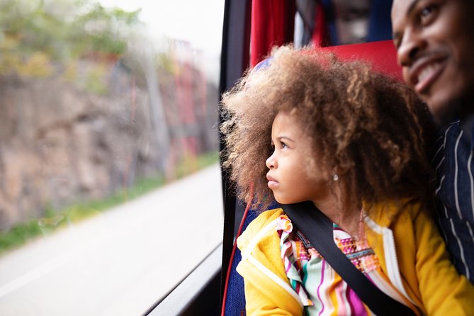 Arlanda Airport Bus Transfer Departure - Arlanda Drop-Off: What to Expect at the Airport End