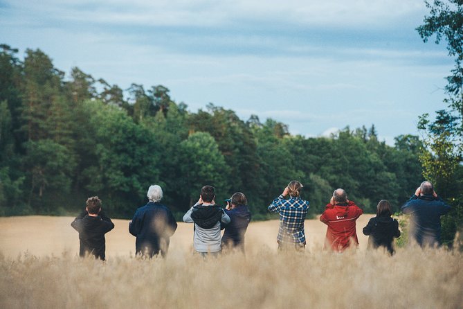 Evening Wildlife Safari Stockholm - Key Highlights You’ll Care About