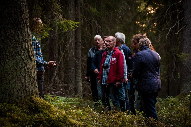 Evening Wildlife Safari Stockholm - The Guides Matter: Small-Group Attention Makes It Work