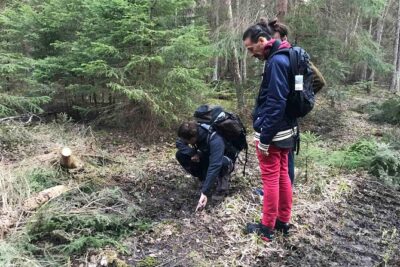 Evening Wildlife Safari with Campfire Dinner from Stockholm - Why Tyresta at night feels different from Stockholm