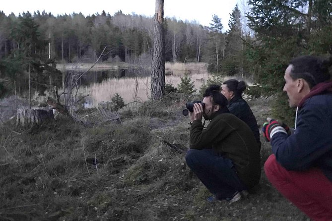 Evening Wildlife Safari with Campfire Dinner from Stockholm - Campfire dinner on wooden fire: warm food after cold air