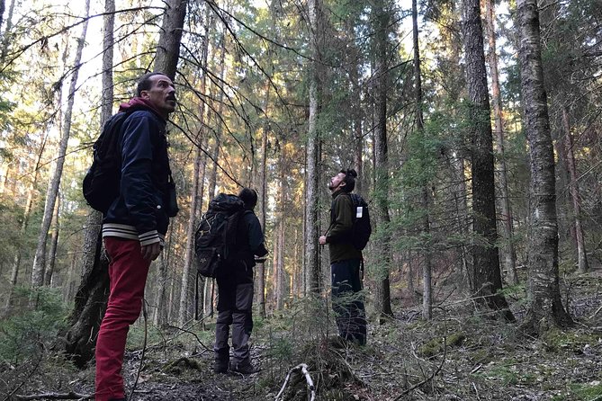 Evening Wildlife Safari with Campfire Dinner from Stockholm - What you’ll likely see in Tyresta (and what to do when you spot something)