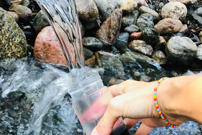Forestbathing Slow Walking and Healing Spring Water, Stockholm - Why Nackareservatet Works for a Mindful Reset