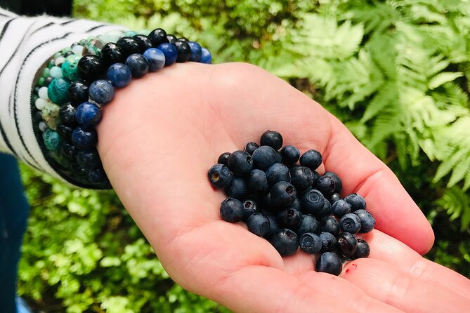 Forestbathing Slow Walking and Healing Spring Water, Stockholm - The Pine-Forest Hike to the Spring: What You’ll Actually Do