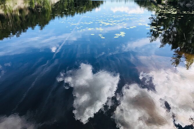 Forestbathing Slow Walking and Healing Spring Water, Stockholm - What to Bring and How to Dress