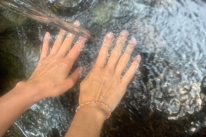 Forestbathing Slow Walking and Healing Spring Water, Stockholm - Who This Tour Fits Best (and Who Might Not Love It)