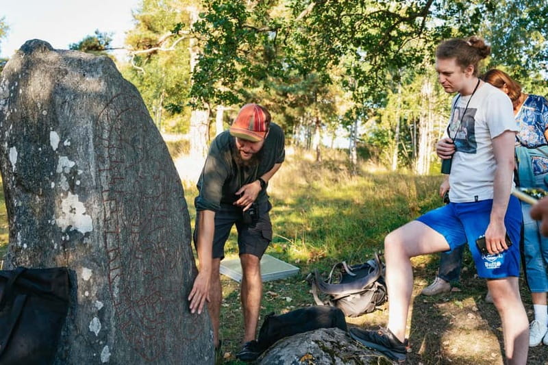 From Stockholm: Moose & Wildlife Safari with Campfire Dinner - From central Stockholm to the woods: the pacing starts strong