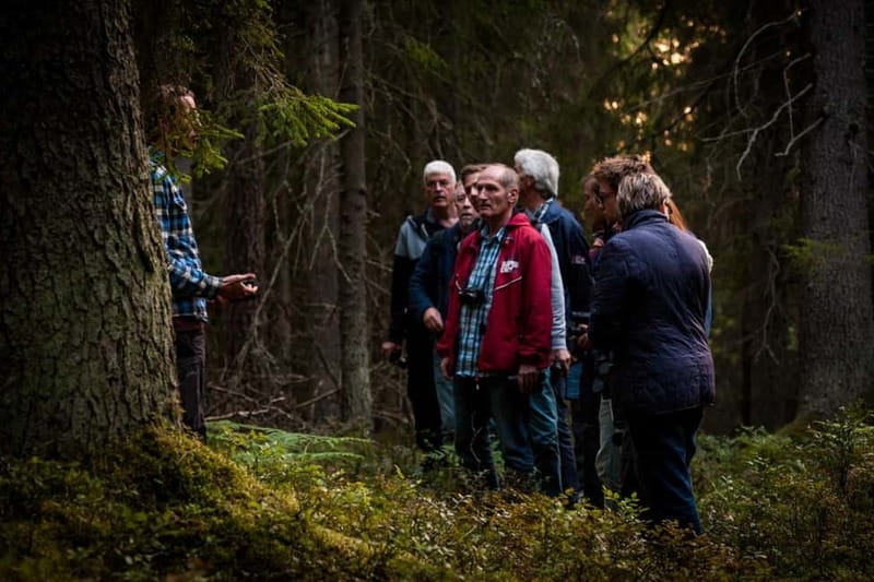From Stockholm: Moose & Wildlife Safari with Campfire Dinner - Binoculars and English-guided spotlighting: comfort plus clarity