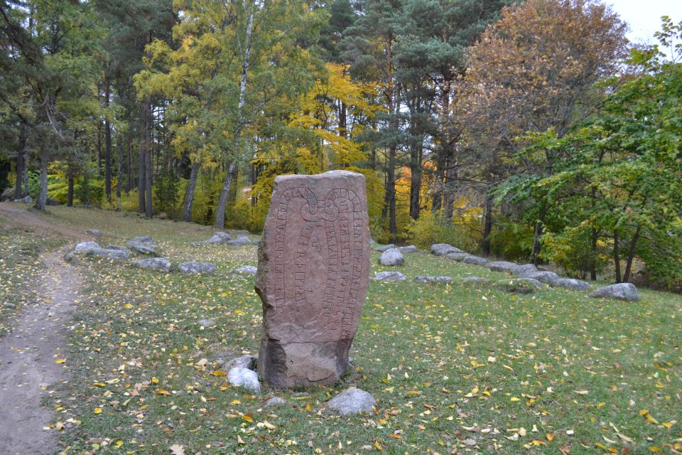 From Stockholm: Uppsala and Sigtuna Viking Sites Tour - From Stockholm to Uppsala: what makes this route feel special