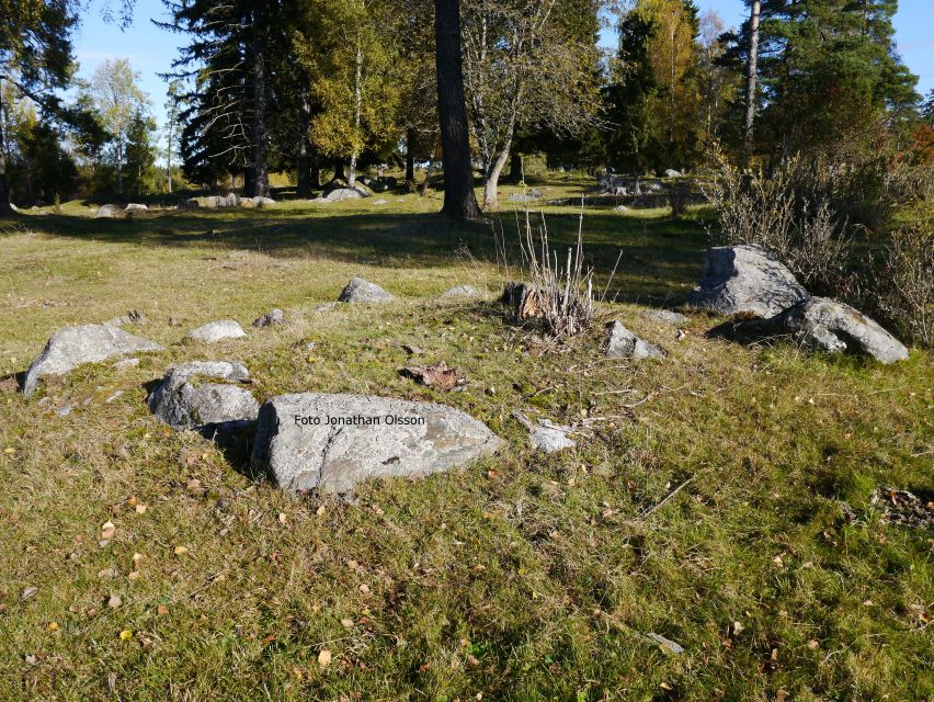 From Stockholm: Viking Culture and Heritage Small Group Tour - The guide’s style: facts with a story, not a show