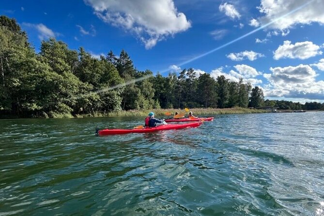 Kayak Tour in the Stockholm Archipelago with Lunch Meal - Fika Time: Coffee and Pastries After You Earned It