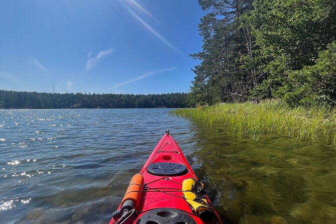 Kayak Tour in the Stockholm Archipelago with Lunch Meal - Guide Style and Group Size: Why It Feels Relaxed