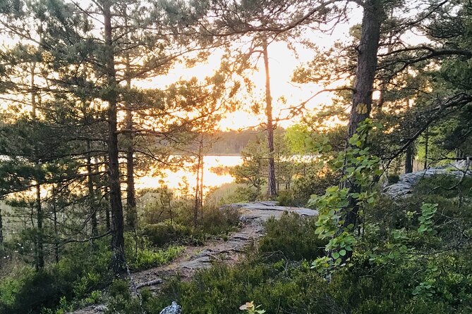 Midnight Sun and Campfire - National Park evening hike Stockholm - Forest lake campfire cooking: the meal is the main event