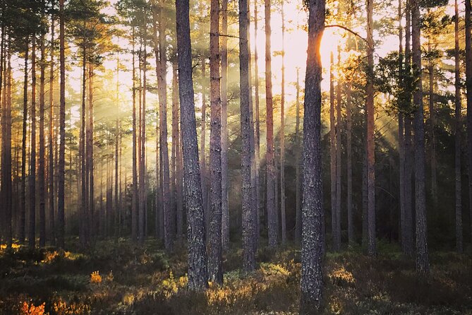 Midnight Sun and Campfire - National Park evening hike Stockholm - What to bring for a smooth midnight-sun evening
