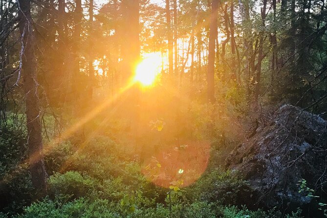 Midnight Sun and Campfire - National Park evening hike Stockholm - The red log-house village stop and Swedish fika time