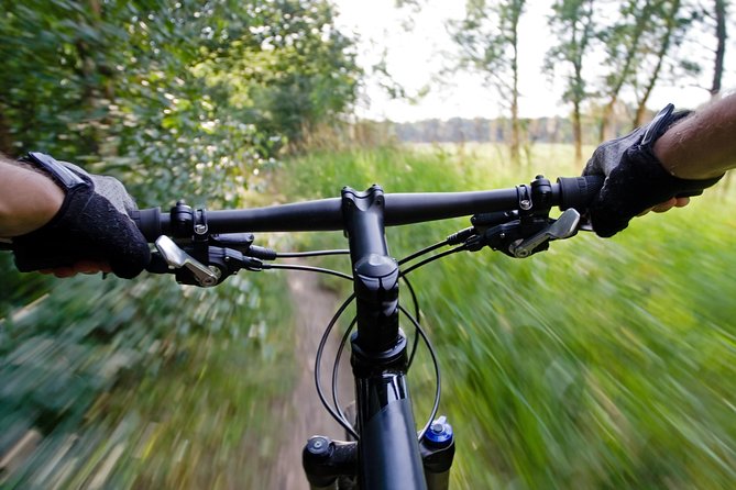 Mountain Biking Small-Group in Stockholm Forests for Beginners - Meeting True Nature in Johanneshov and Getting Your Bike Ready