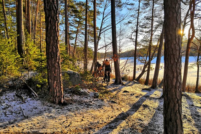 Mountain Biking Small-Group in Stockholm Forests for Beginners - Price and Value: Is $144 Worth It?