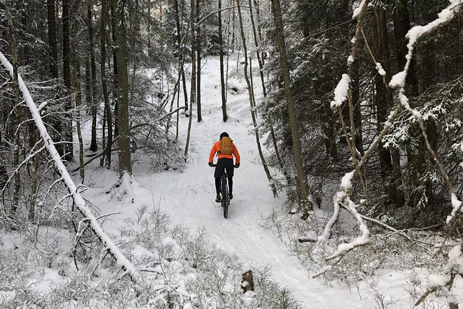 Mountain Biking Small-Group in Stockholm Forests for Beginners - Who This Tour Suits (and Who Might Be Dissatisfied)