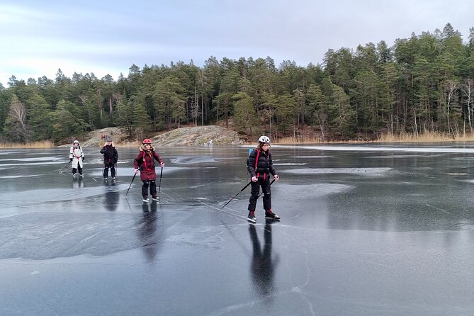 Nordic Ice Skating on a Frozen Lake in Stockholm - Price and Value: Why $179.86 Can Make Sense