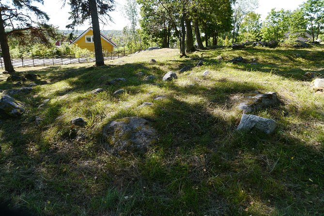 Private Full Day Viking History Tour from Stockholm Including Sigtuna and Uppsala - Arkils tingstad: One of the Best-Preserved Viking Assembly Places