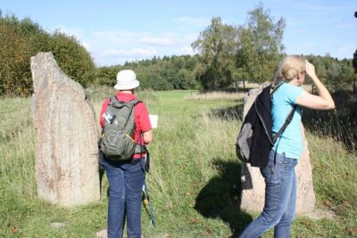 Private Half Day Tour: Viking History Trip from Stockholm Including Sigtuna - From Hotel Pickup to Viking Fields: The Flow of the Day