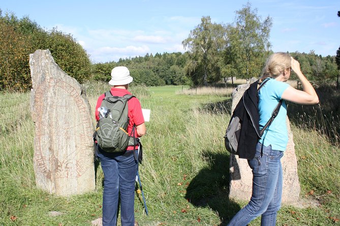 Private Half Day Tour: Viking History Trip from Stockholm Including Sigtuna - From Hotel Pickup to Viking Fields: The Flow of the Day