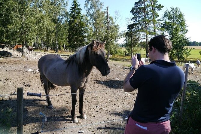 Private Tour: Swedish History Day Trip to World Heritage Candidate Markim-Orkesta from Stockholm - Private guide, pickup range, and how the day stays low-stress