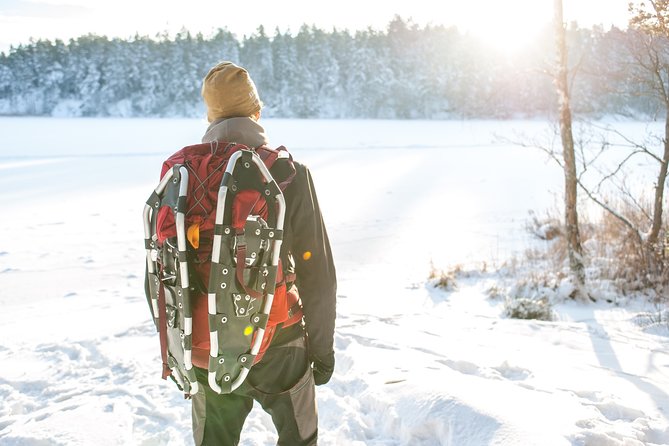 Snowshoe Winter Hike from Stockholm - Key highlights worth your attention