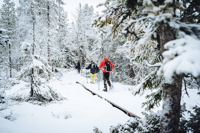Snowshoe Winter Hike from Stockholm - A quiet winter day outside Stockholm