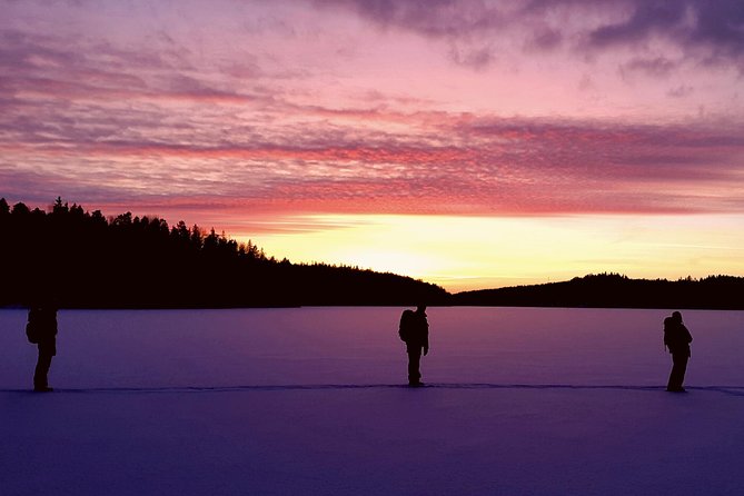 Snowshoe Winter Hike from Stockholm - Where you’ll hike: national park or nature reserve, chosen by conditions