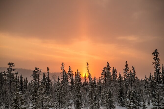 Snowshoe Winter Hike from Stockholm - The hike itself: wildlife spotting, bushcraft cues, and navigation tips