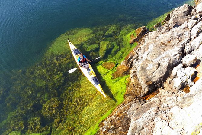 Stockholm Archipelago Kayaking Day Tour - Key Points Worth Knowing Before You Go