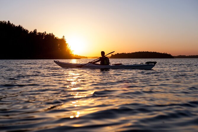 Stockholm Archipelago Sunset Kayaking and Fika tour - Quick hits: what makes this sunset kayaking work so well