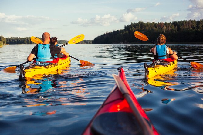 Stockholm Archipelago Sunset Kayaking and Fika tour - Wildlife and photo time: how to actually spot animals in the dusk