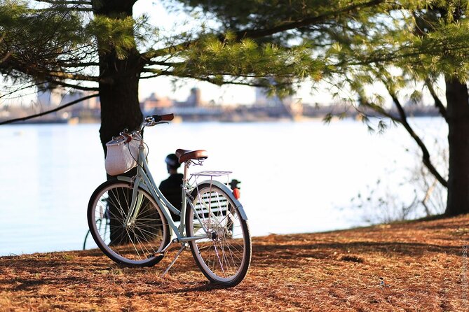 Stockholm Bike Tour - From the Canals Through Gamla Stan: the Historic Start You Can Feel