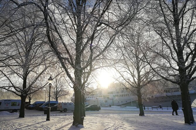 Stockholm Christmas Tour and Food Tasting Experience - Stop 2: The German Church and Swedish Christmas traditions