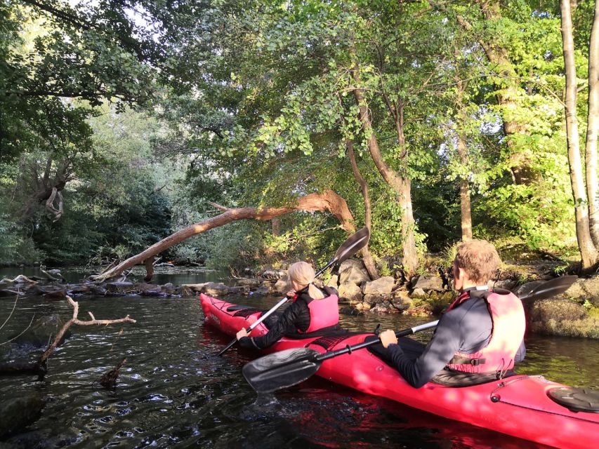 Stockholm Evening Kayak with BBQ. - Weather Rules, Cancellations, and What to Pack