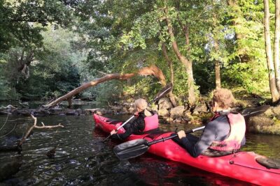 Stockholm Evening Kayak with BBQ - Small Group - The Small-Group Advantage (Max 8) on the Water