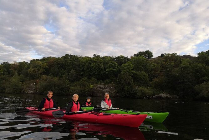 Stockholm Evening Kayak with BBQ - Small Group - Price and Value: Is $143.95 Fair for a 3-Hour Sunset Kayak?