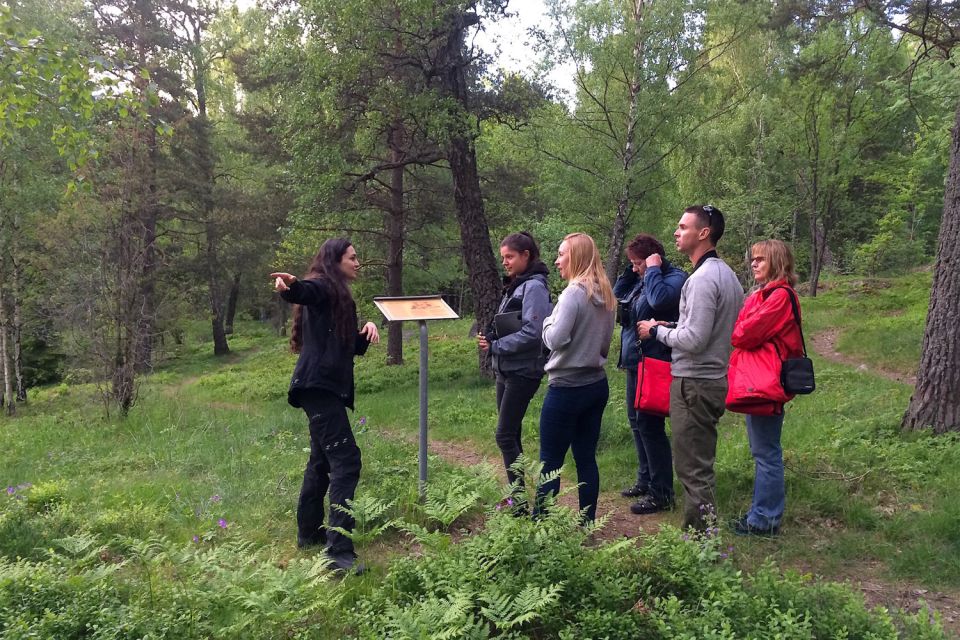 Stockholm: Evening Wildlife Safari with Midsummer Meal - Guides Make or Break the Feel of This Trip