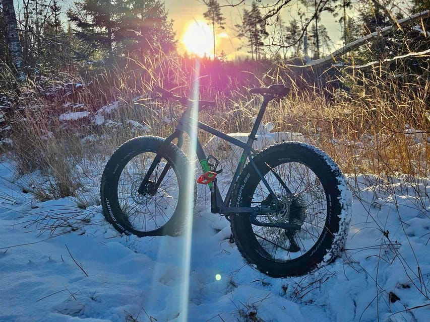 Stockholm: Fat Bike Forest Adventure with Lunch and Sauna - Fat bikes near Stockholm: why this is more fun than it sounds