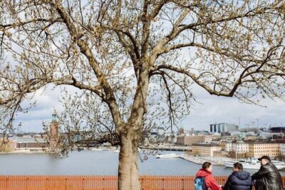 Stockholm Hidden Gem Tours by Locals: 100% Personalized & Private - Meeting Point Clarity: NK Korv & Glass and Hotel Pickup