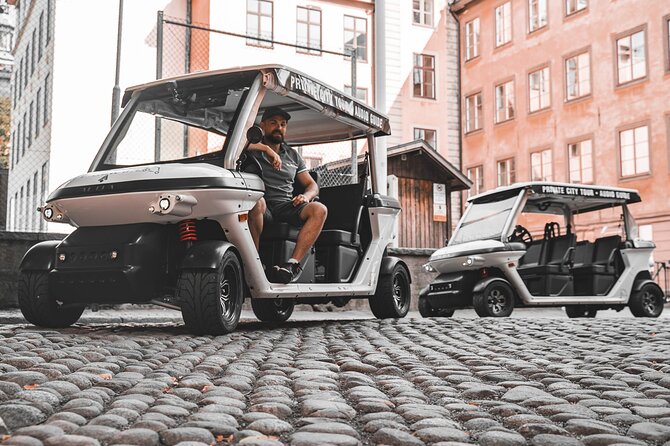 Stockholm Highlights: Private Golf Cart Tour - Södermalm: colorful streets, hilltop views, and the city’s edge