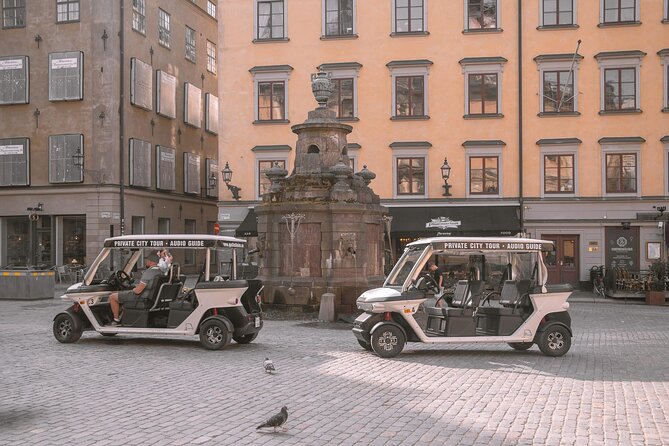 Stockholm Highlights: Private Golf Cart Tour - Monteliusvägen viewpoint: the short stop that makes the tour feel longer